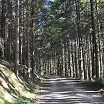 Altes Gnesau