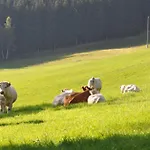 Nyaraló Altes