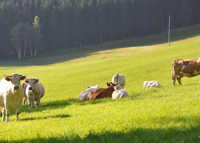 Semesterbostad Altes